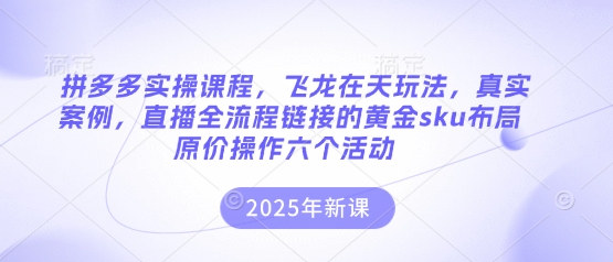 拼多多实操课程，飞龙在天玩法，真实案例，直播全流程链接的黄金sku布局原价操作六个活动-小栈创课网