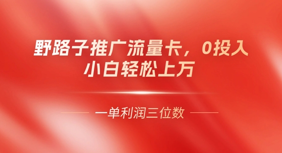 0门槛推广流量卡，一单收益上百，0投入，小白月入过W-小栈创课网