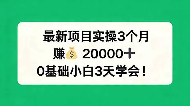 （17856期）最新项目实操3个月，赚钱20000+，0基础小白3天学会！-小栈创课网